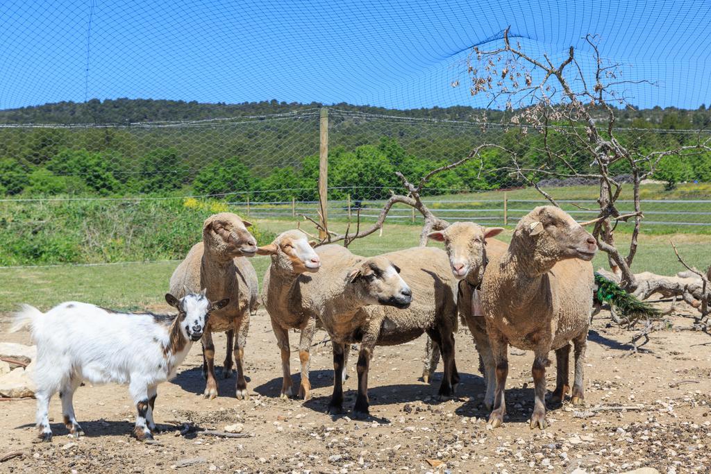 Lou Mas Li Pitchoun "Le Luberon " Villa Горд Екстериор снимка